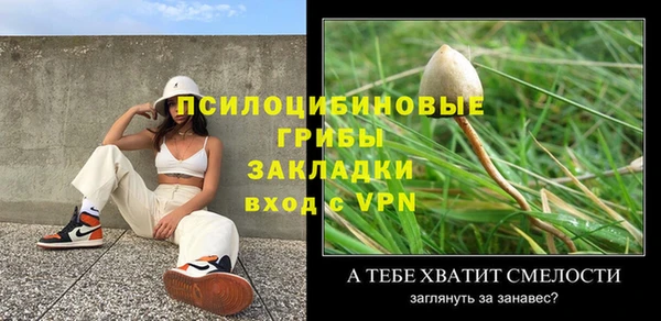 герыч Дмитров