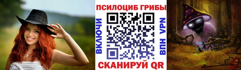Галлюциногенные грибы Psilocybine cubensis  Купить закладки  Бугульма 